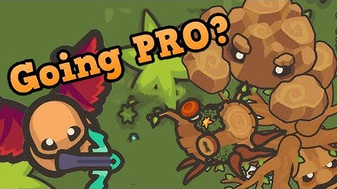 Taming io High Scoring 1M Gold