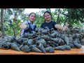 Yummy Sea Snail Curry Stir Fry - Amazing Sea Snail Cooking - Cooking With Sros