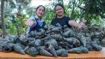 Yummy Sea Snail Curry Stir Fry - Amazing Sea Snail Cooking - Cooking With Sros
