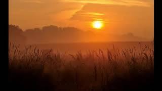 Raga Yaman Mandala Healing spiritual flute Ragas Music for meditation, Sleep and Beyond