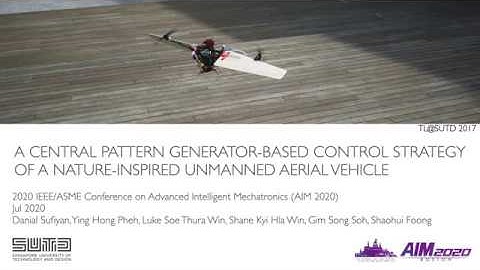 AIM 2020 - A Central Pattern Generator-based Control Strategy of a Nature-Inspired UAV.