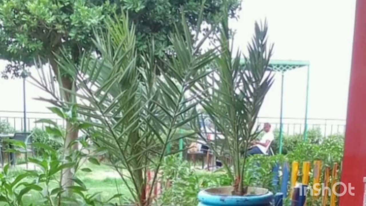 عاااااجل📢رويييينة نااايضة🏃واااالروووح كطيح فالدوار🚨🏃