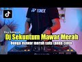 DJ BUNGA MAWAR MERAH SATU TANDA CINTA TIKTOK FULL BASS SEKUNTUM MAWAR MERAH