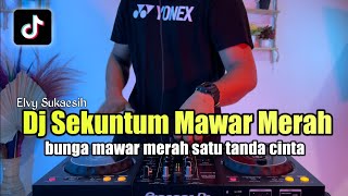 DJ BUNGA MAWAR MERAH SATU TANDA CINTA TIKTOK FULL BASS SEKUNTUM MAWAR MERAH