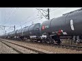 Locomotiva Softronic Transmontana nr. 086 – un nou simbol al performanței în transportul feroviar!