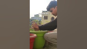 Macro Photography | 12x/24x Macro Lens | Adcom India | #shorts #adcomindia