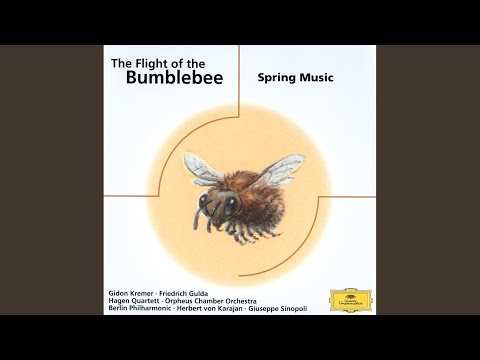 Rubinstein: Melody in F Major, Op. 3 No. 1 (Arr. Saborow for Piano & String Orchestra)