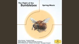 Rubinstein: Melody in F Major, Op. 3 No. 1 (Arr. Saborow for Piano & String Orchestra)