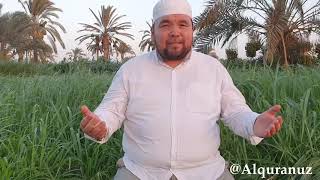 Tilovat Shayx Alijon qori