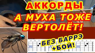 Video thumbnail of "А МУХА ТОЖЕ ВЕРТОЛЕТ Аккорды 🎸 БЕЗ БАРРЭ ♪ Разбор песни на гитаре ♫ Гитарный бой для начинающих"