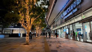 東京駅 散歩 2024年【4K HDR】