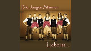 Video thumbnail of "Die jungen Stimmen - Gernhåbn tuat guat"