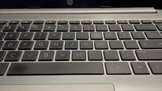 IMG 4551