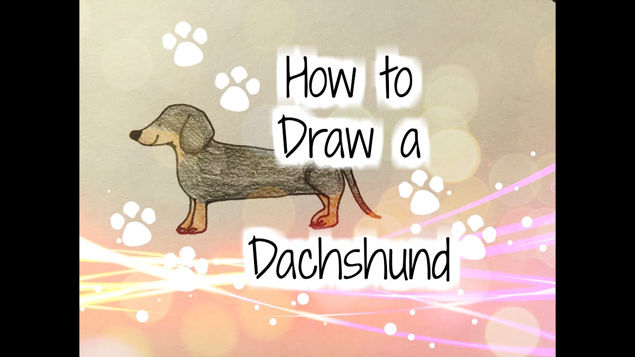 How to Draw a Dachshund Very Easy For Kids YouTube