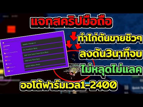 👒 แจกสคริปมือถือ BloxFruit 🐯 ออโต้ฟาร์มเวล1-2400 ทำไก่ตันขายชิวๆ ลงดัน3นาทีจบ 👒 แจกสคริปมือถือ BloxFruit 🐯 ออโต้ฟาร์มเวล1-2400 ทำไก่ตันขายชิวๆ ลงดัน3นาทีจบ