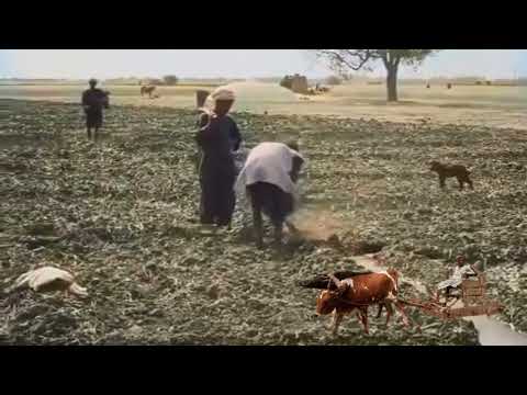 ايام الزمن الجميل فى الريف المصرى القديم