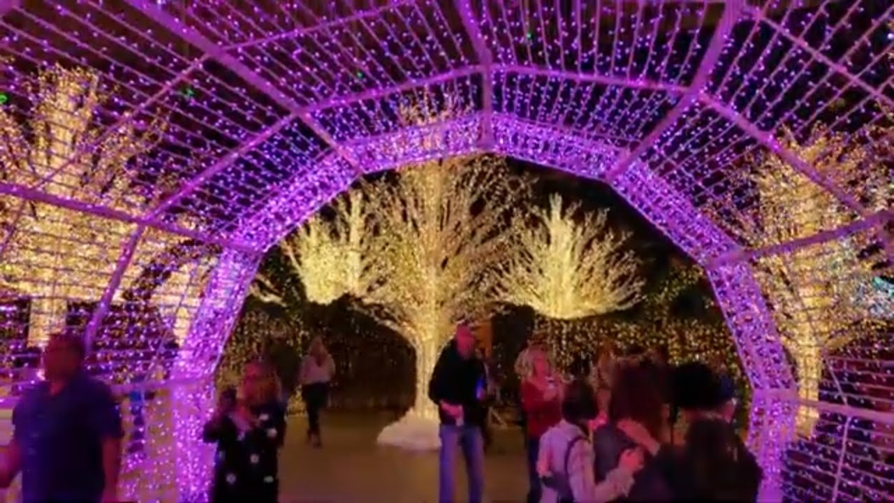 Enchant Christmas World's Largest Christmas Light Maze, St. Petersburg