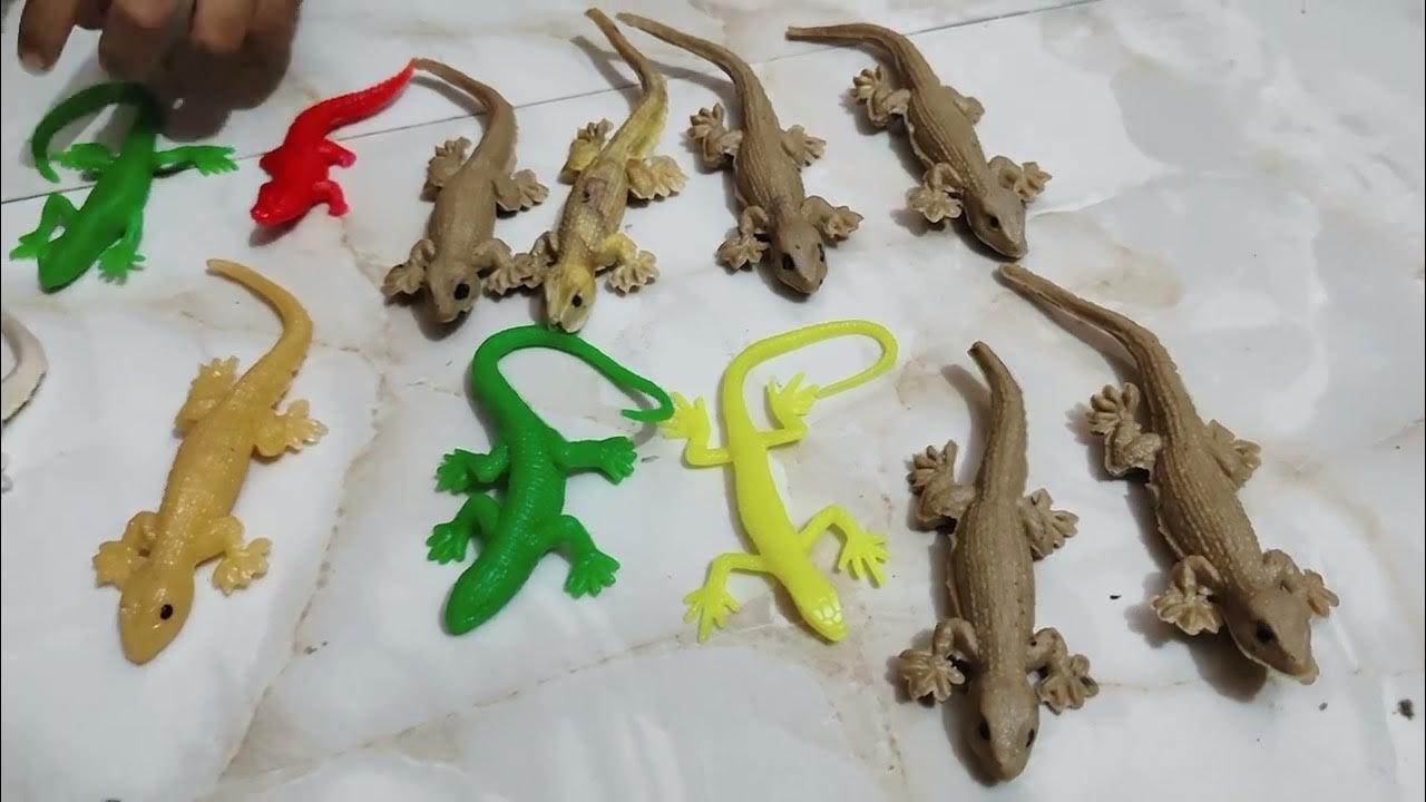 Artificial Lizard Video for kids Discover the Hidden World of Lizards