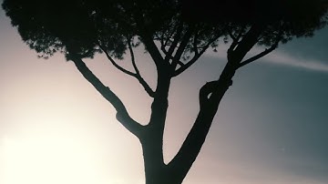 PUBLIC MEMORY - HEIR