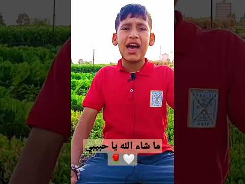 أخويا وابني الغالي ومحاكاه روعه للشيخ محمد الطاروطى ابداع القرآن الكريم Youtubeshorts