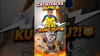 kung-fu cat atcked me 😱 cat funny reaction 😅 🤣 #funny #remix #shorts #beasthubindia #funnyreaction