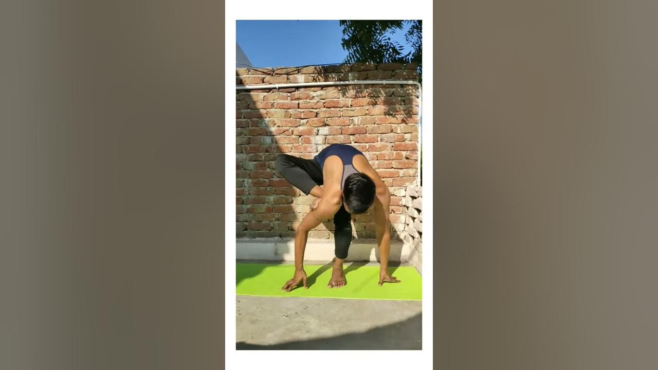 flying dragon 🐉 yoga poses || Zenith Yoga Official