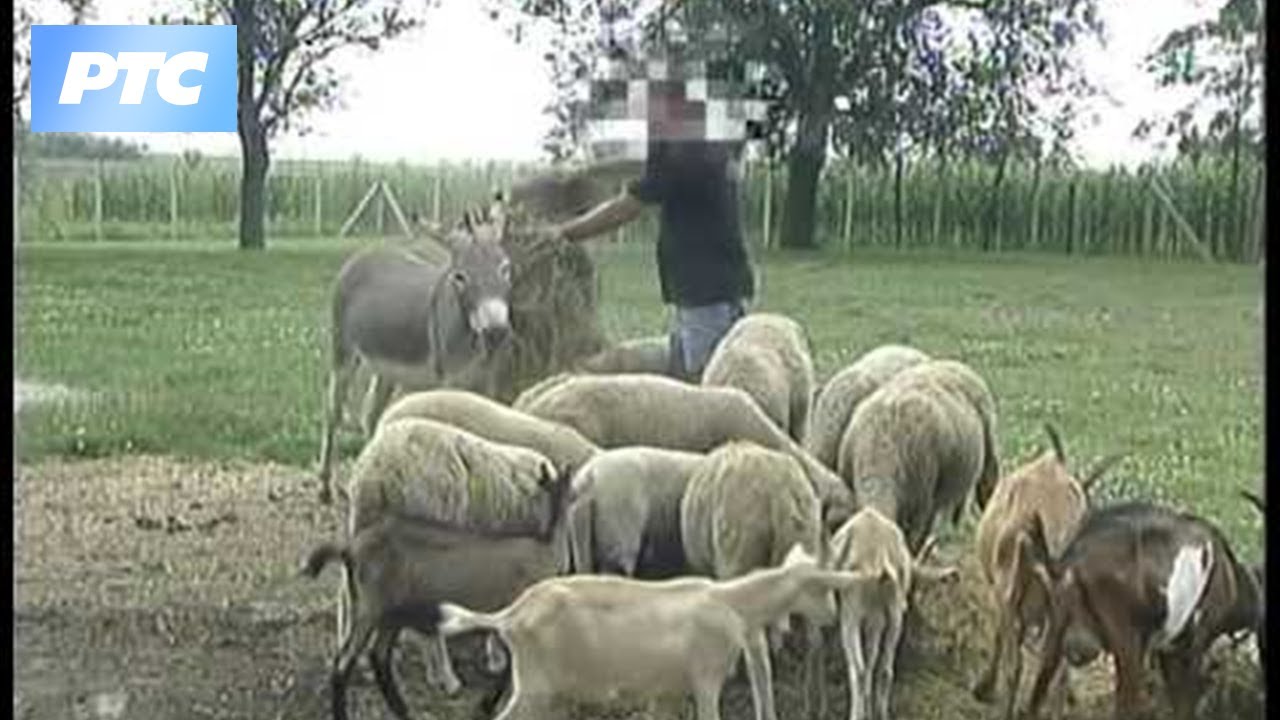 Zemlja živih, 5. epizoda