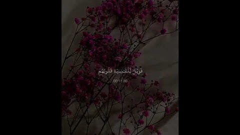 حالات واتس اب دينية قصيرة💛🌷ارح سمعك😴💙تلاوة تنسيك هموم الدنيا كلها