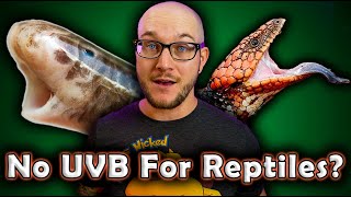 Do Reptiles ACTUALLY Need UVB Light? | 5 Reptiles That THRIVE Without UVB 5 Reptiles That Never Need Uvb