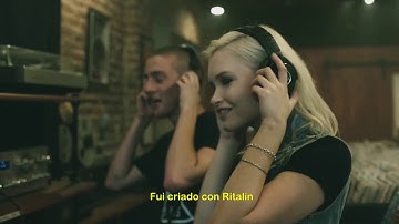 Blink-182 Blame it on my youth subtitulada español