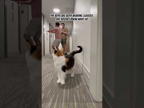 She Literally Slowly Fainted