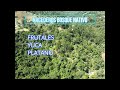 VENDIDO!!!🔴 CUATRO HECTAREAS 550 MILLONES FINCA EN VENTA SAN FRANCISCO CUNDINAMARCA.