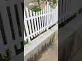 Best garden fence panel from Amazon | amazon finds | shorts #amazon #flipkart #meesho #shorts