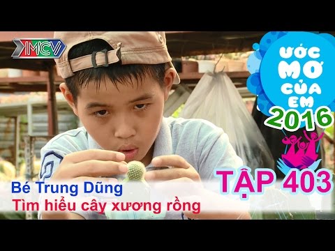 Video Thiên Vương cùng bé tìm hiểu cây xương rồng - bé Trung... - YouTube