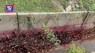 JAS Kedah siasat punca pencemaran di Sungai Padang Terap