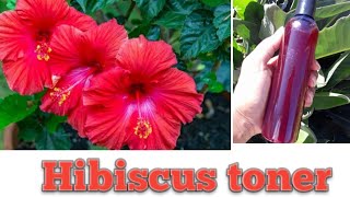 How to make hibiscus toner at home_/ china flower best toner for skin care