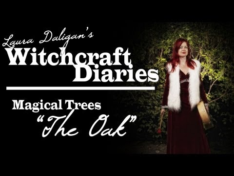 Video: The Magical Properties Of Oak