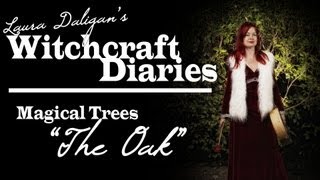 Magical Trees: The OAK (duir)