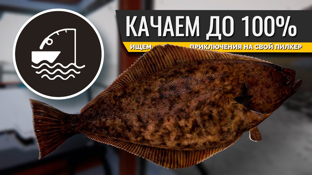РУССКАЯ РЫБАЛКА 4 - Норвежское море, ищем приключения на пилкер + Venga ...