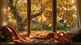 Cozy September 🍂 soft piano for slow days & cozy moments | aesthetic autumn playlist screenshot 3