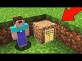 Minecraft NOOB vs PRO : ONE BLOCK SECRET HOUSE BUILD CHALLENGE! Animation