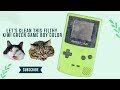 Reviving a Filthy Kiwi Green Game Boy Color!