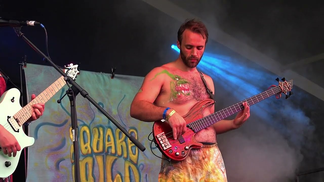 Square Wild (Live) at NVRF - Tubular Bells / Pins and Mould