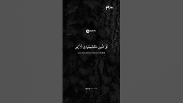 وَنُرِيدُ أَن نَّمُنَّ عَلَى الَّذِينَ اسْتُضْعِفُوا |محمد صديقالمنشاوي |سورة القصص #قرآن