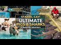 The Two Faces of Staniel Cay: Pig Beach &amp; Shark Point! ~ Sujee’s Travel Story 