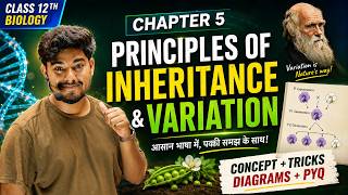 Principle of Inheritance &amp; Variation MCQs 2027 | Bihar Board  12 Biology | Most Expected Questions
