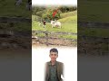 قد تظن أنك الحامي والمربي ولكن المؤلم أن تكون أنت الضحية في النهاية Explore Shorts قد تظن أنك الحامي والمربي ولكن المؤلم أن تكون أنت الضحية في النهاية Explore Shorts