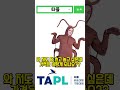바퀴벌레 탈   성인 어린이 #바퀴벌래 탈 의상 할로윈선물 인형탈 곤충공연 #행사용 #인형탈 코스튬 의상 축제 파티  1688직구 알리바바배송대행 타오바오직구