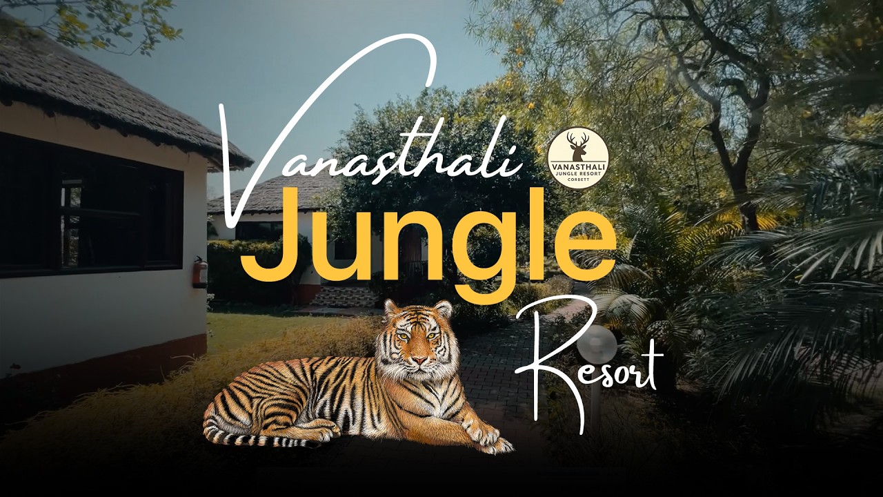 Vanasthali Jungle Resort | Ramnagar Chhoi | Full Review + Real Experience (Worth It?)