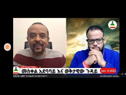 ቪዲዮ: የአዲስ ሜክሲኮ የወይራ ዛፍ እውነታዎች - በአትክልት ስፍራዎች ውስጥ ስለ በረሃ የወይራ እርሻ ይወቁ